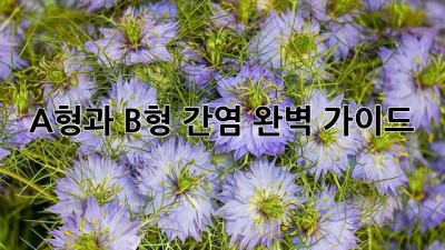 A형과 B형 간염 완벽 가이드