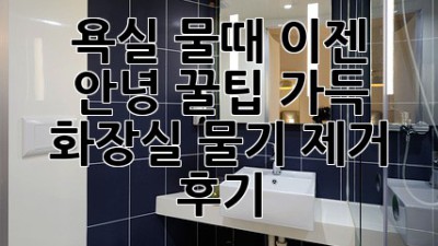 욕실 물때, 이젠 안녕! 꿀팁 가득 화장실 물기 제거 후기